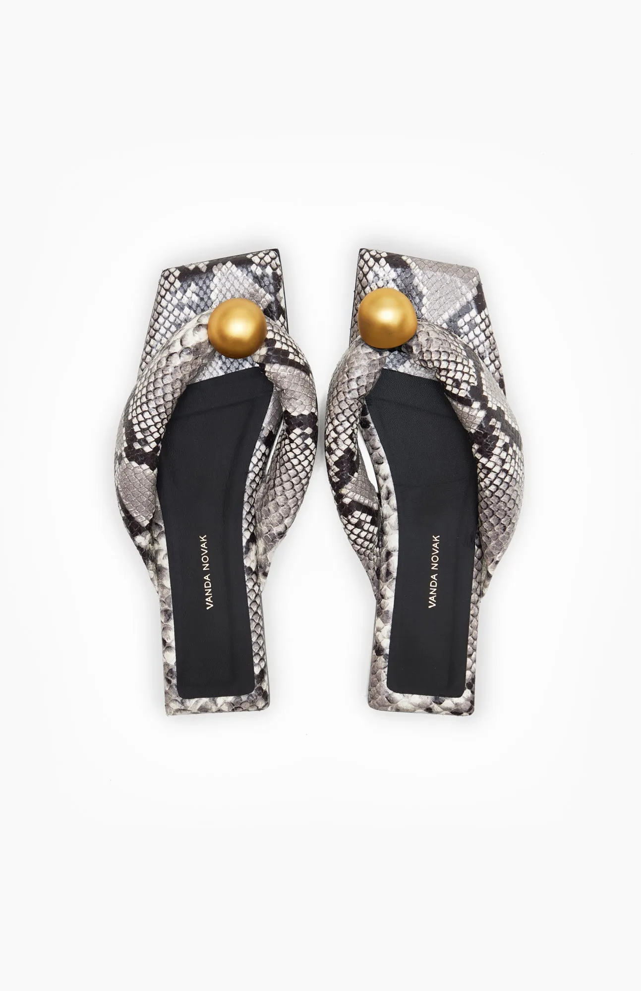 FLORENCE GRAY PYTHON sold by Vanda Novak