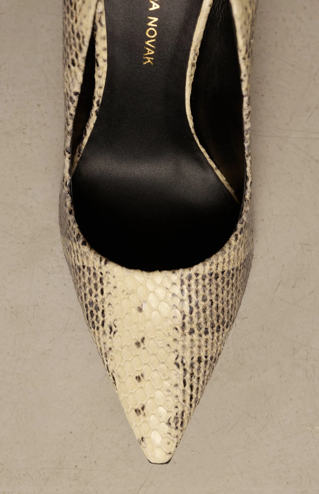 ALEKSANDRA VIPERINA sold by Vanda Novak product image thumbnail 5