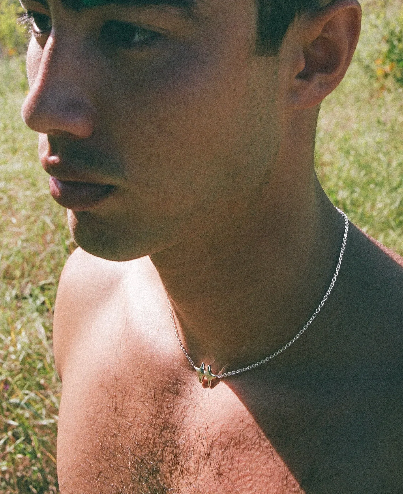 ANI sold by California Dirt product image thumbnail 3