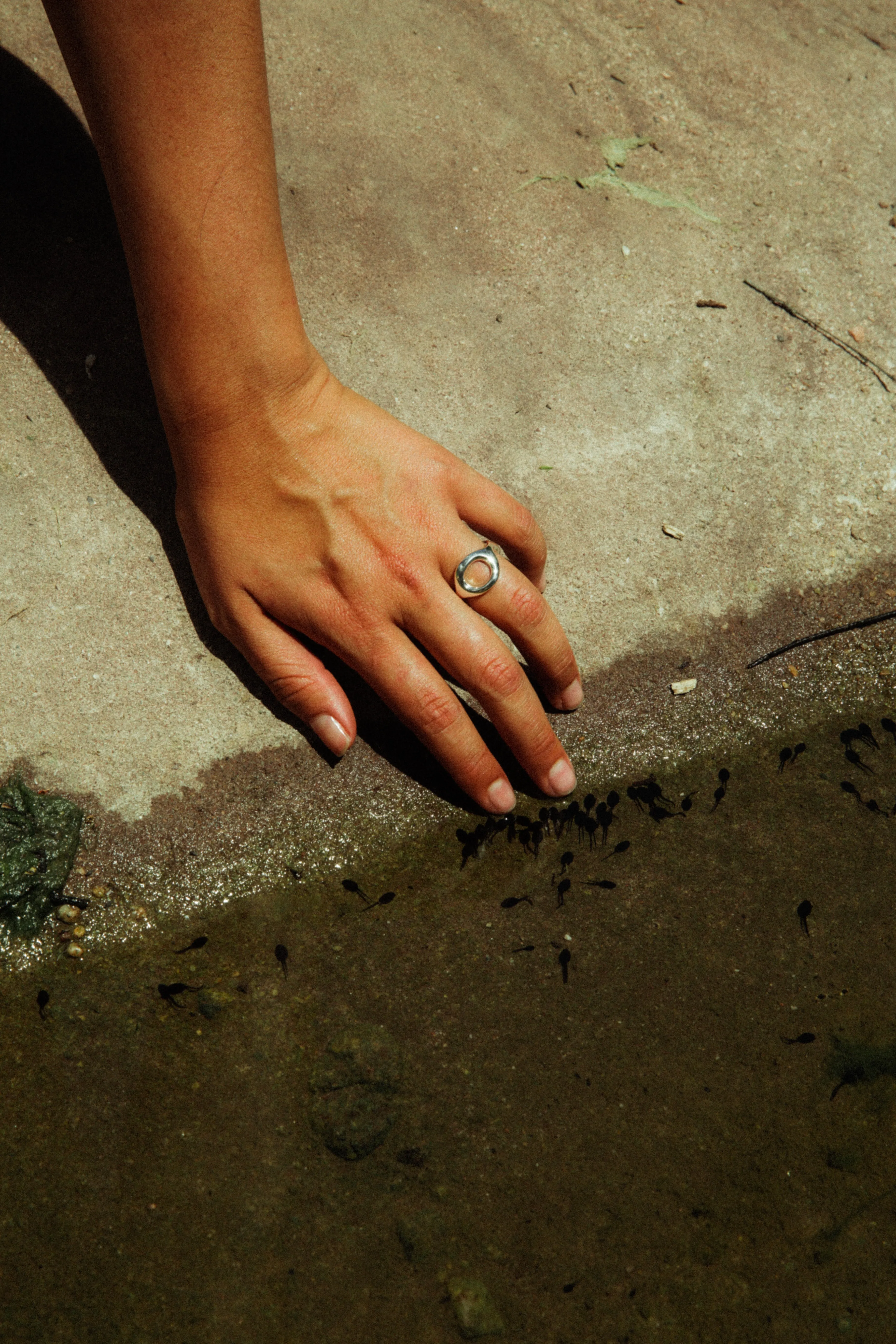 Portals Ring sold by California Dirt product image thumbnail 3