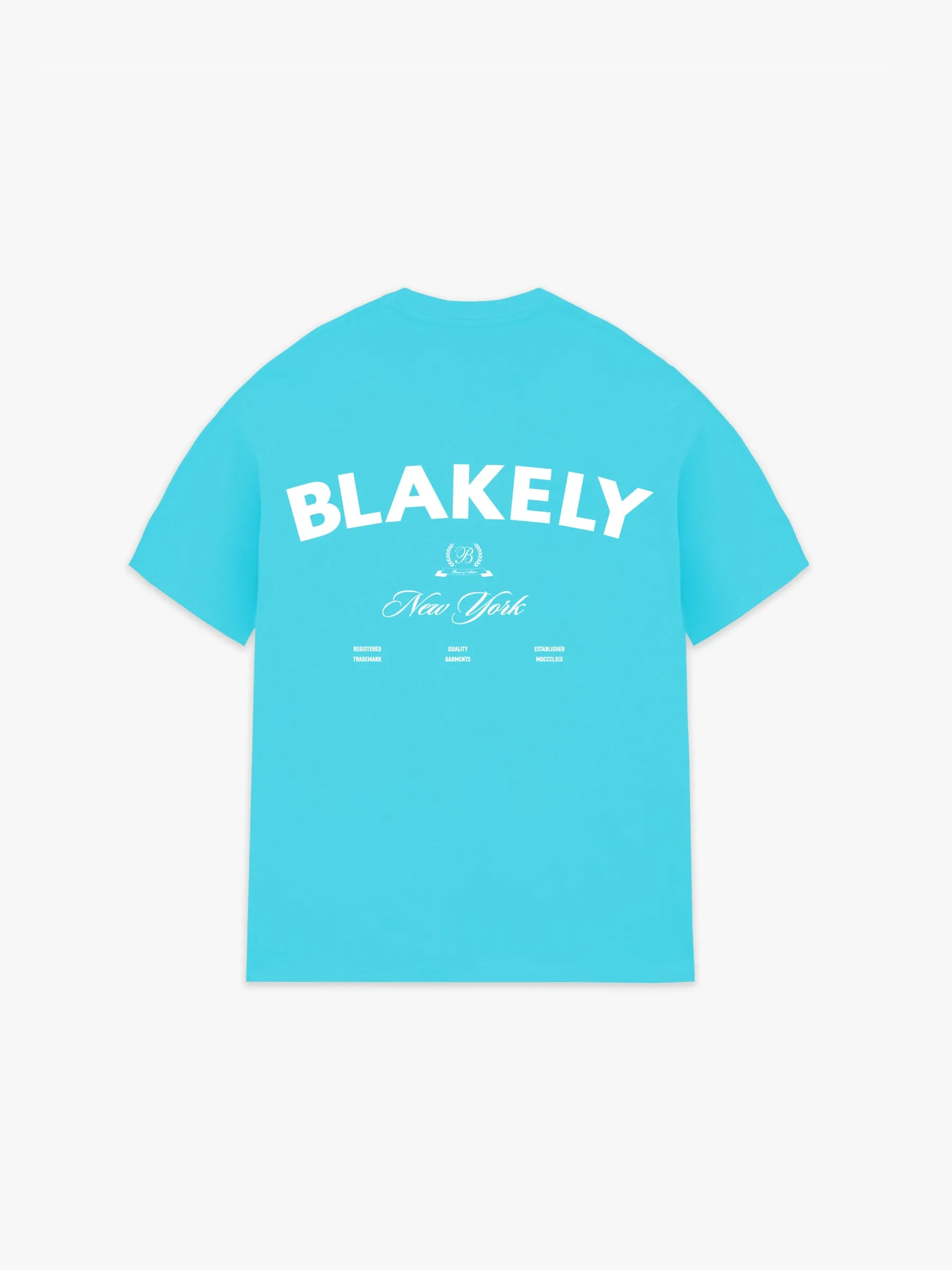 NY Crest Relaxed T-Shirt - Aqua sold by Blakely product image thumbnail 3