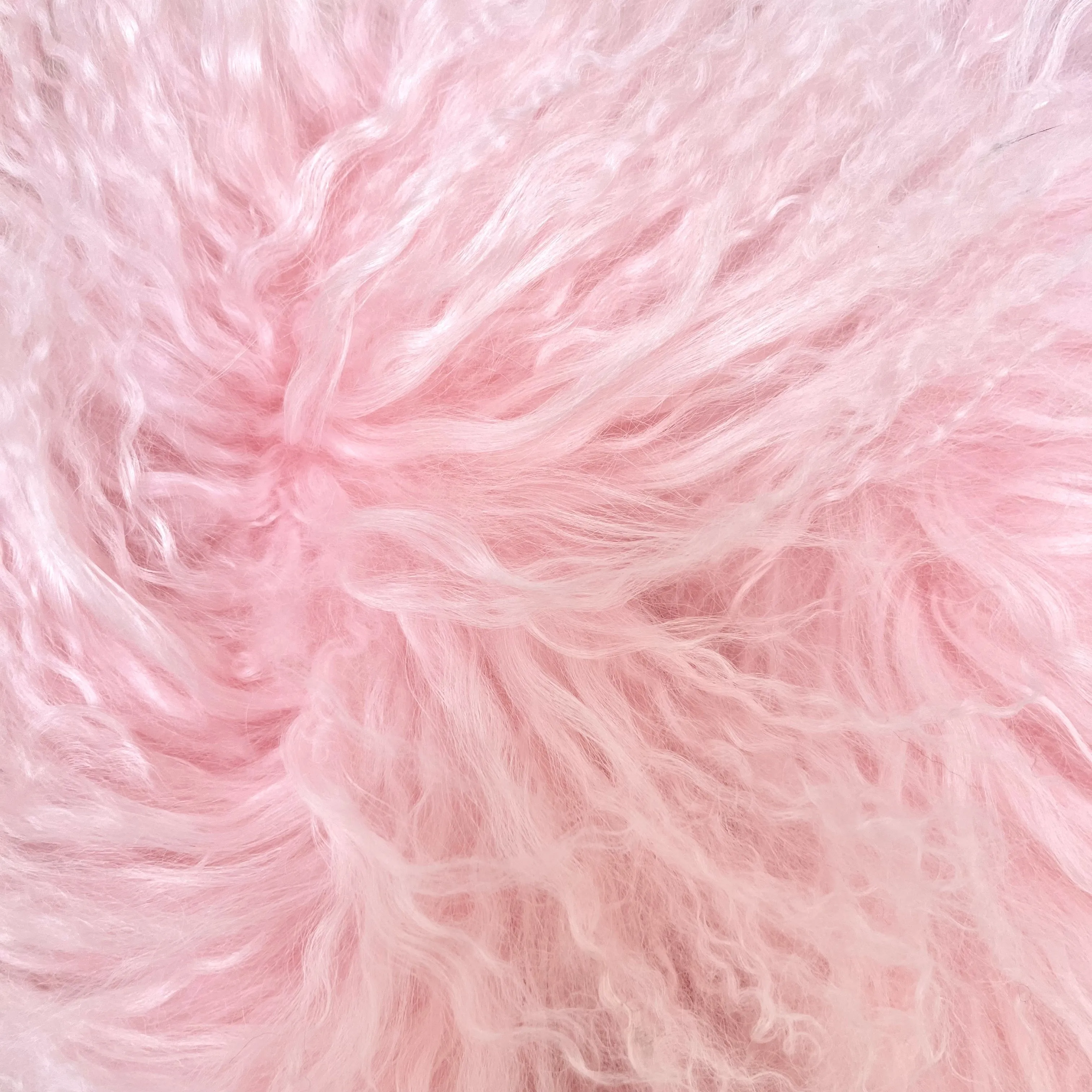 Mongolian Bikini Halter Rose sold by Varenne product image thumbnail 5