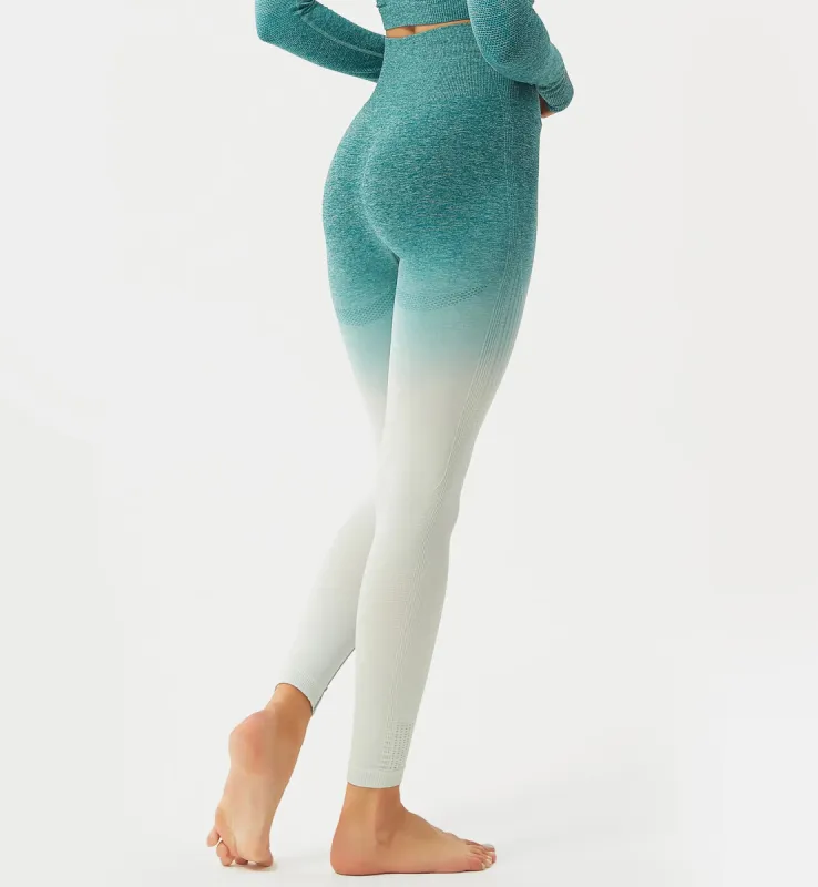 Ombre High Waisted Seamless Leggings sold by Gymsweaty