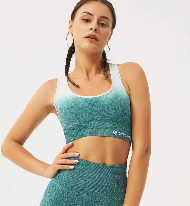 Ombre High Impact Sports Bra sold by Gymsweaty