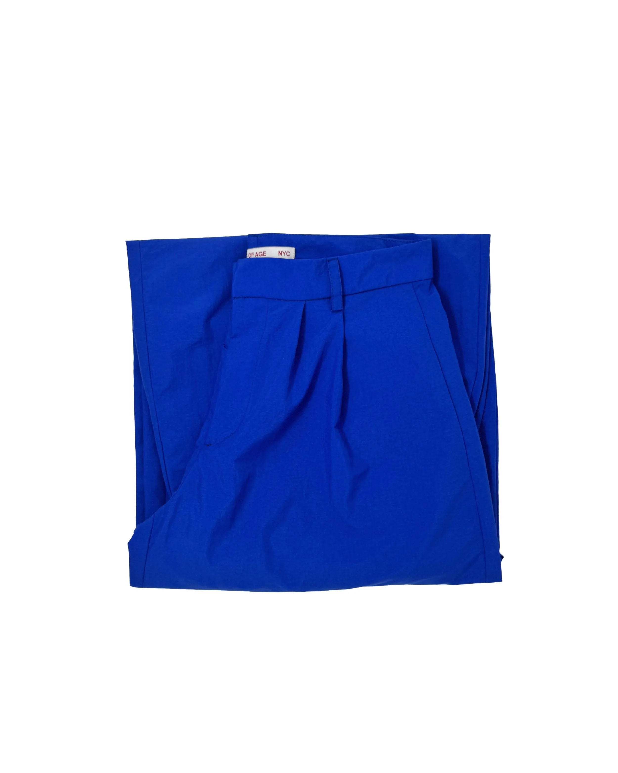 BIG PANT IN ROYAL NYLON sold by Coming of Age product image thumbnail 2