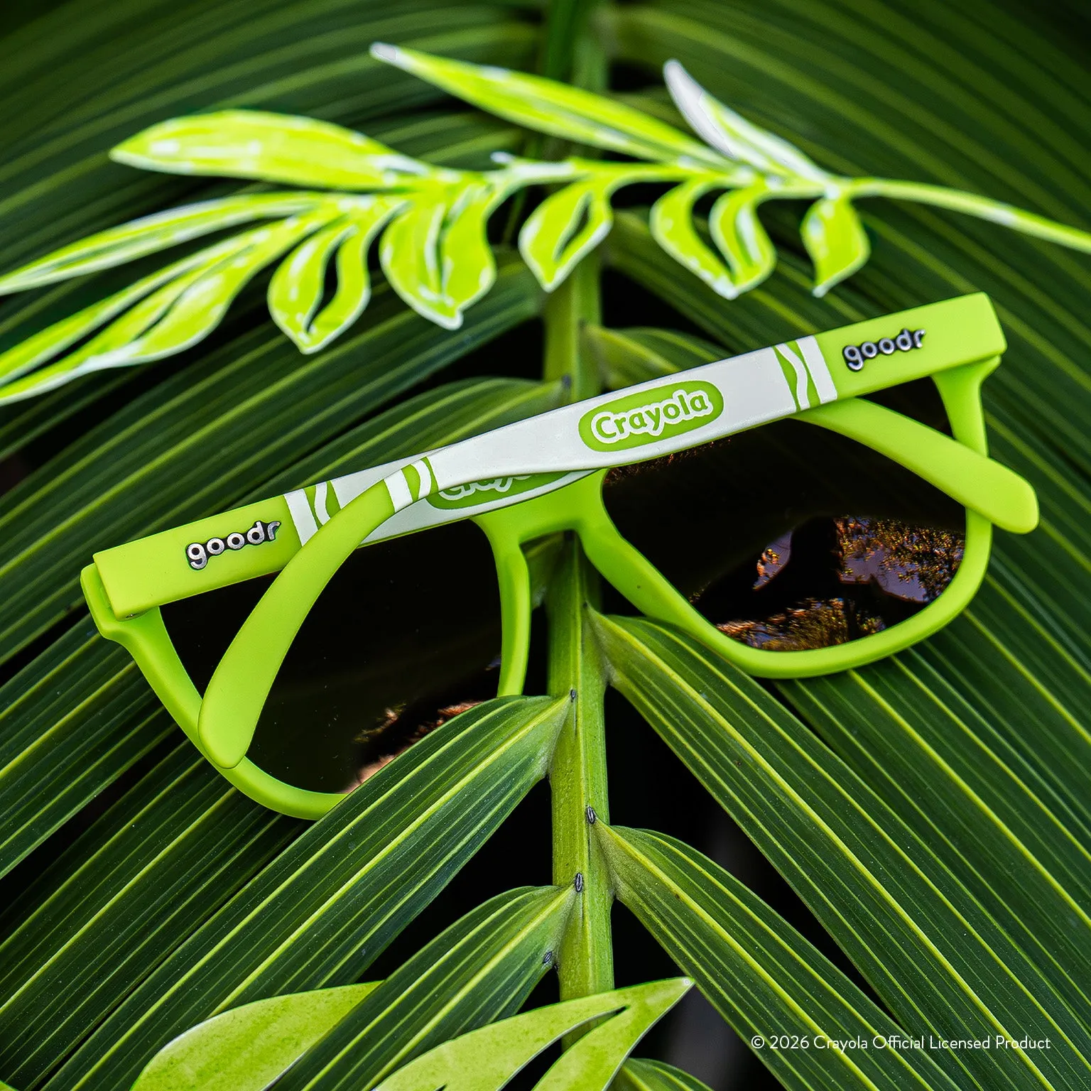 Palm Leaf sold by Goodr product image thumbnail 5