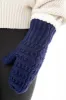 Blue - Cozy Lined Mittens sold by Just Cozy