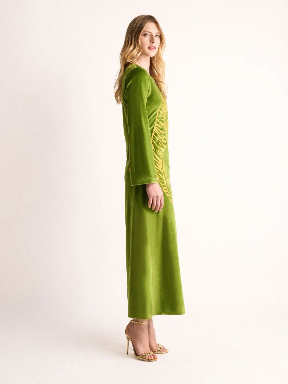 Selene Garden Green Velvet Dress sold by Fashion Clinic product image thumbnail 3