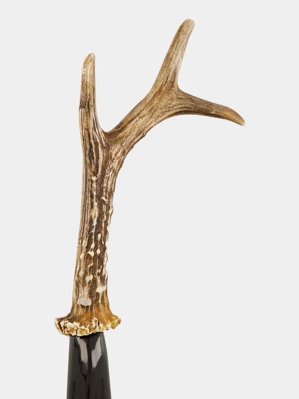 Small Roe Deer Antler and Zebu Horn Shoehorn sold by Fashion Clinic product image thumbnail 3