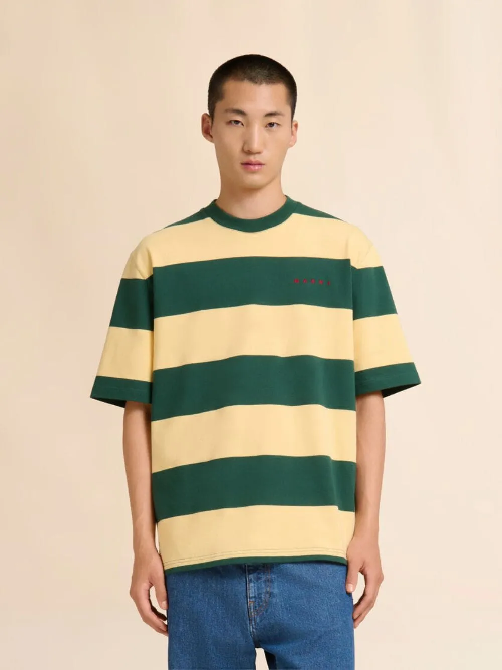 Emerald and Yellow Stripe Cotton T-Shirt sold by Fashion Clinic product image thumbnail 2