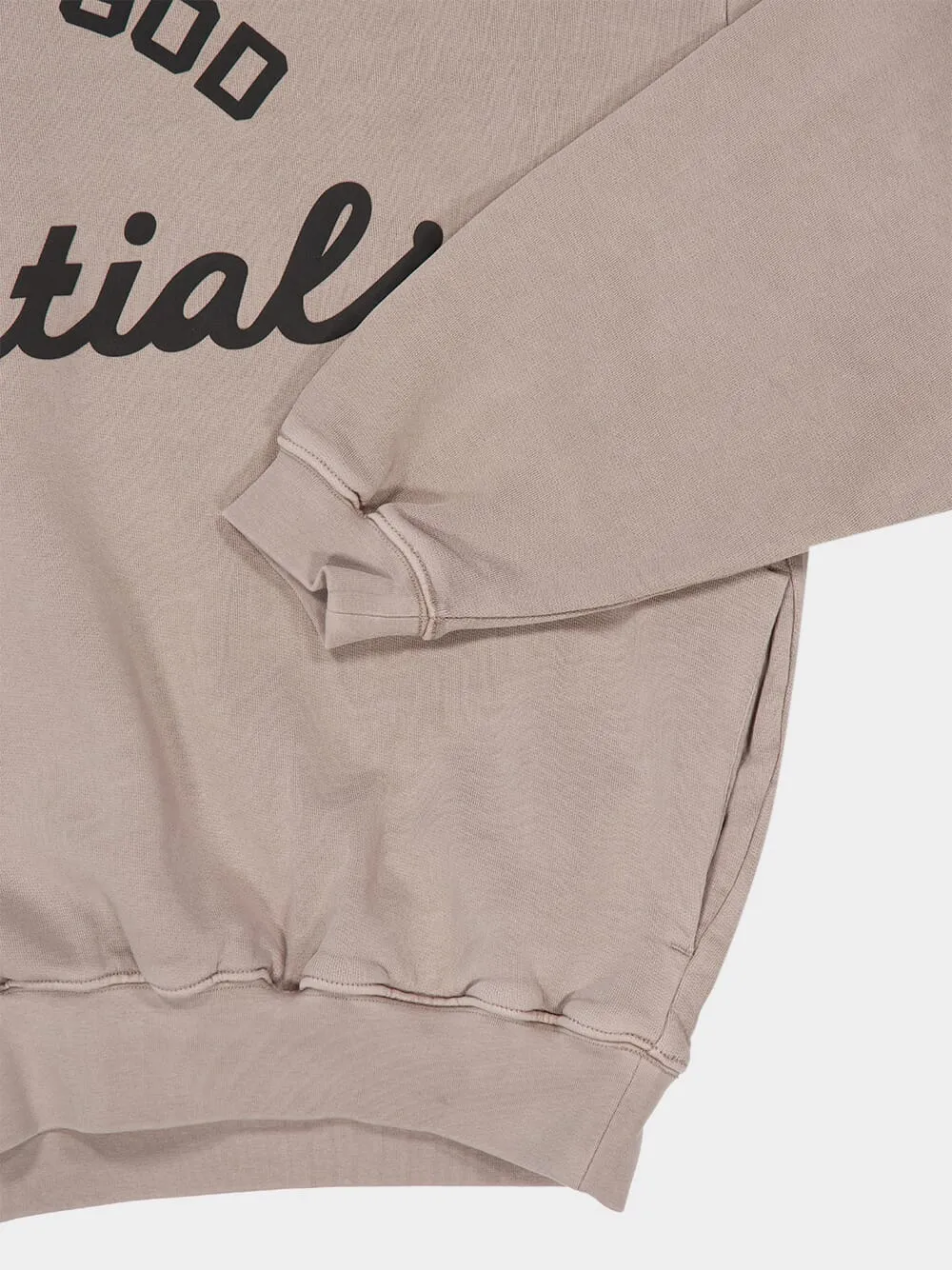 Faded Seal Training 90s Hooded Sweatshirt sold by Fashion Clinic product image thumbnail 4