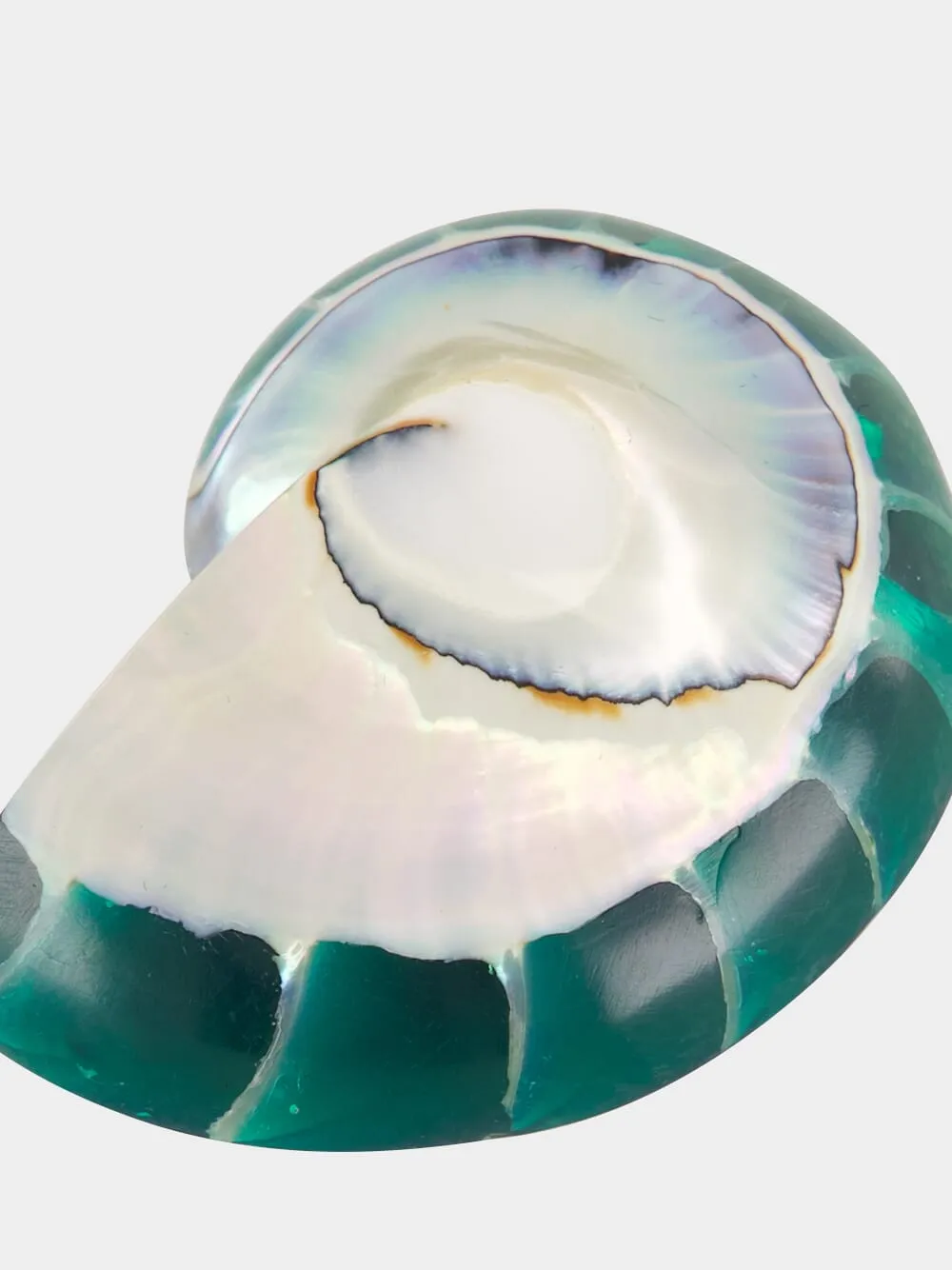 Green Nautilus Shell Clip-On Earrings sold by Fashion Clinic product image thumbnail 4