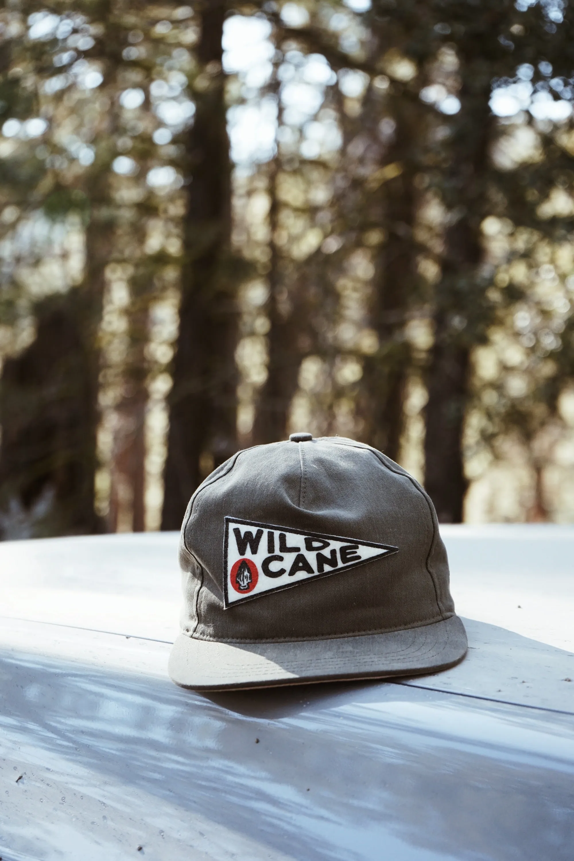 Pennant Hat sold by Wild Cane Supply Co.