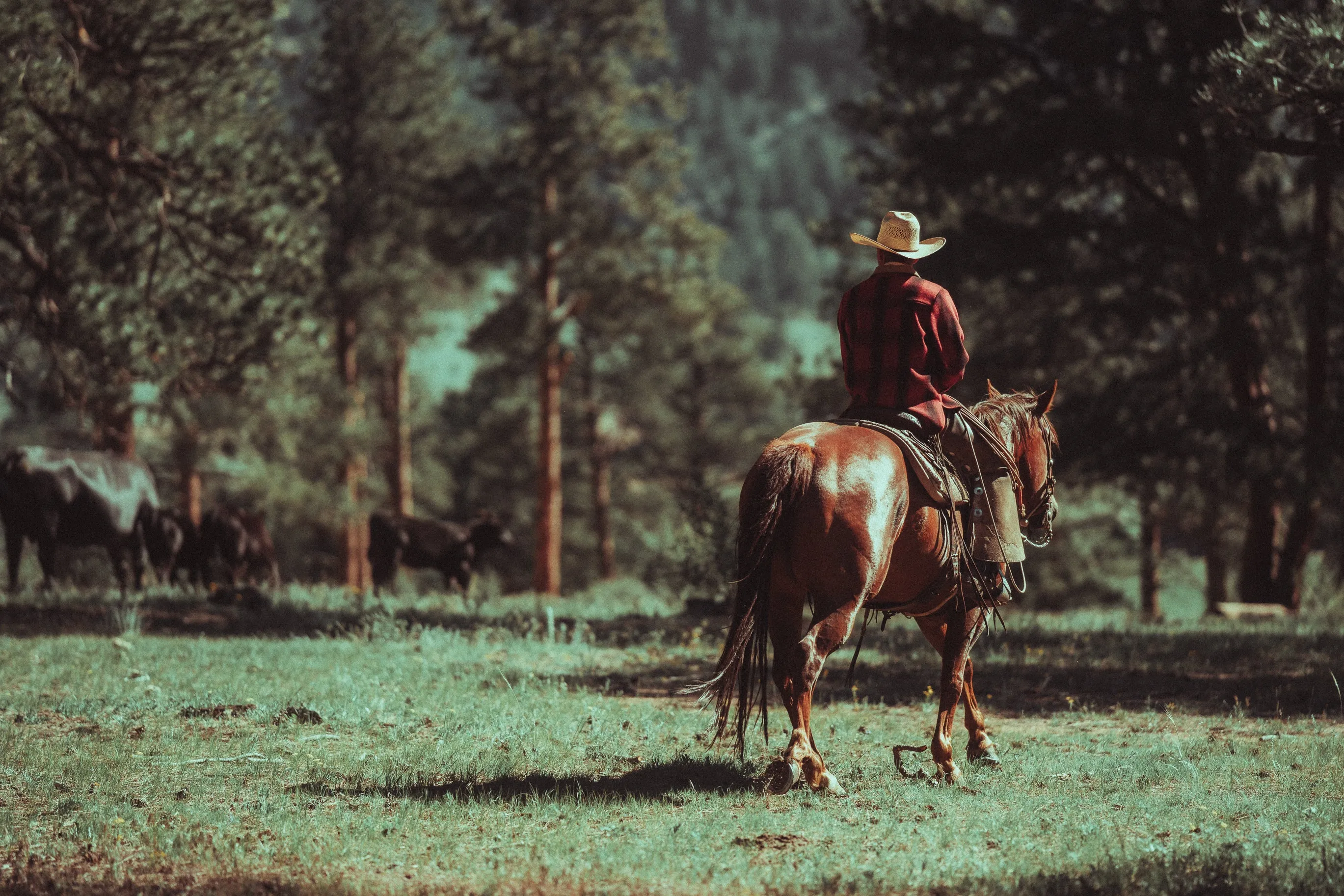 Dozier's '75 Wool Overshirt sold by Wild Cane Supply Co. product image thumbnail 4