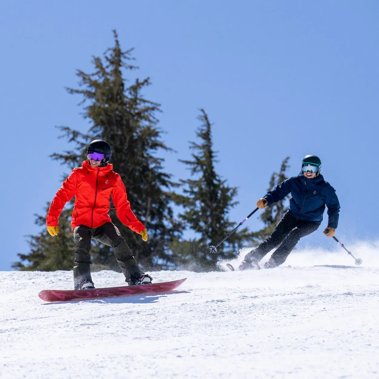 Lake Tahoe School - Women's Elevated Hardshell sold by AVOKA product image thumbnail 2