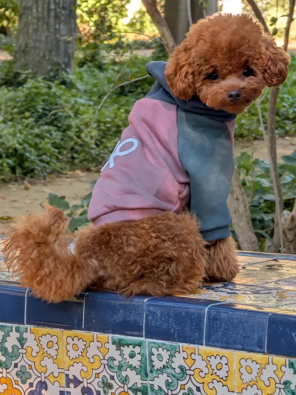 Pet hoodie multicolor burgundy sold by Silbon