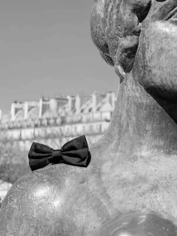 Black velvet bow tie sold by Silbon