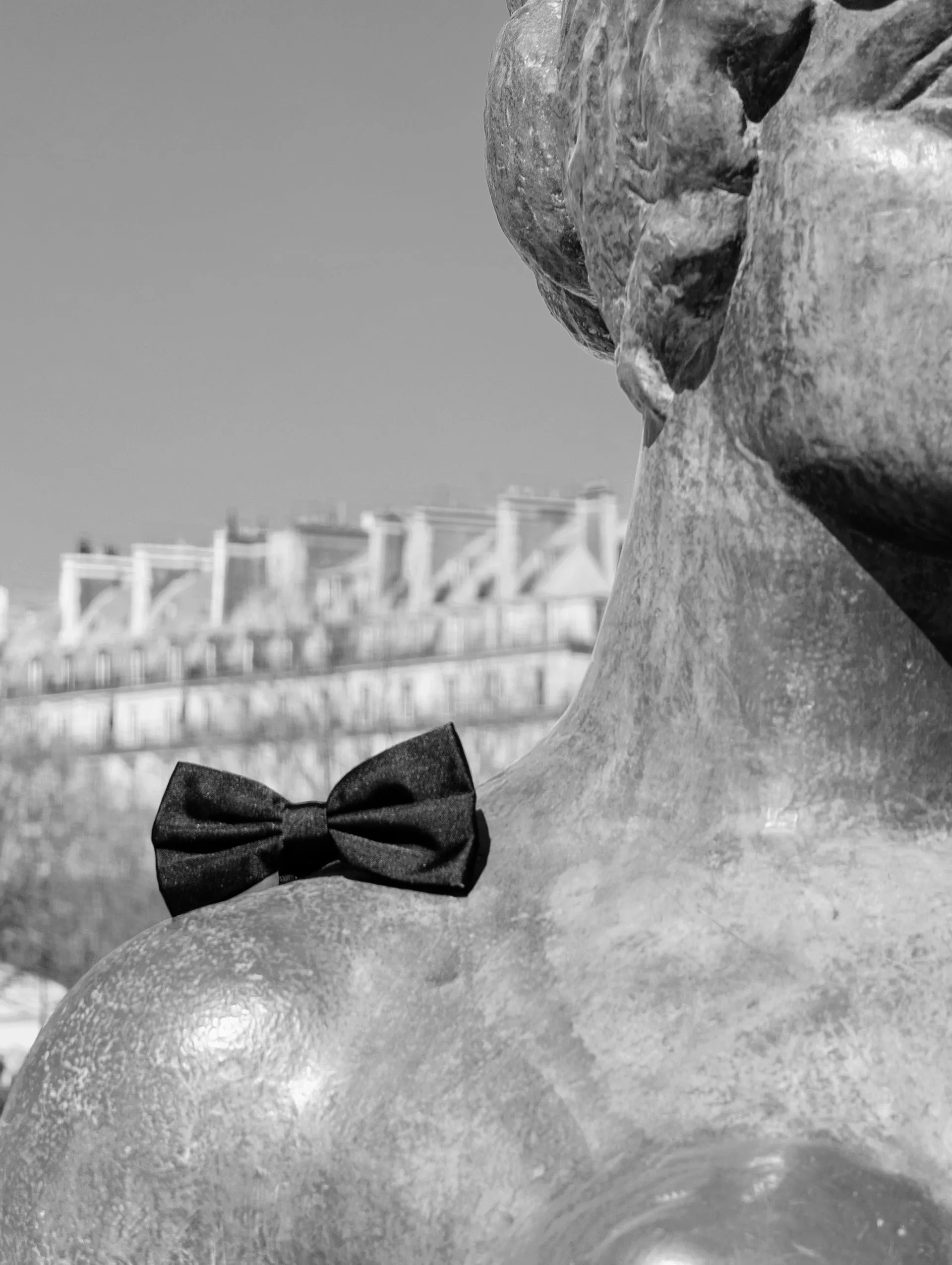Black velvet bow tie sold by Silbon