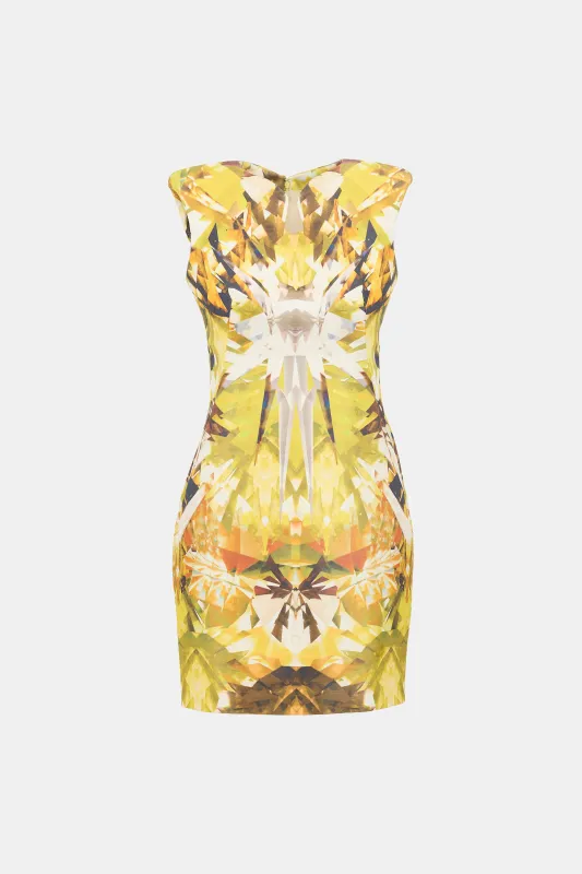 SS 2009 Crystal Printed Dress made by Alexander McQueen