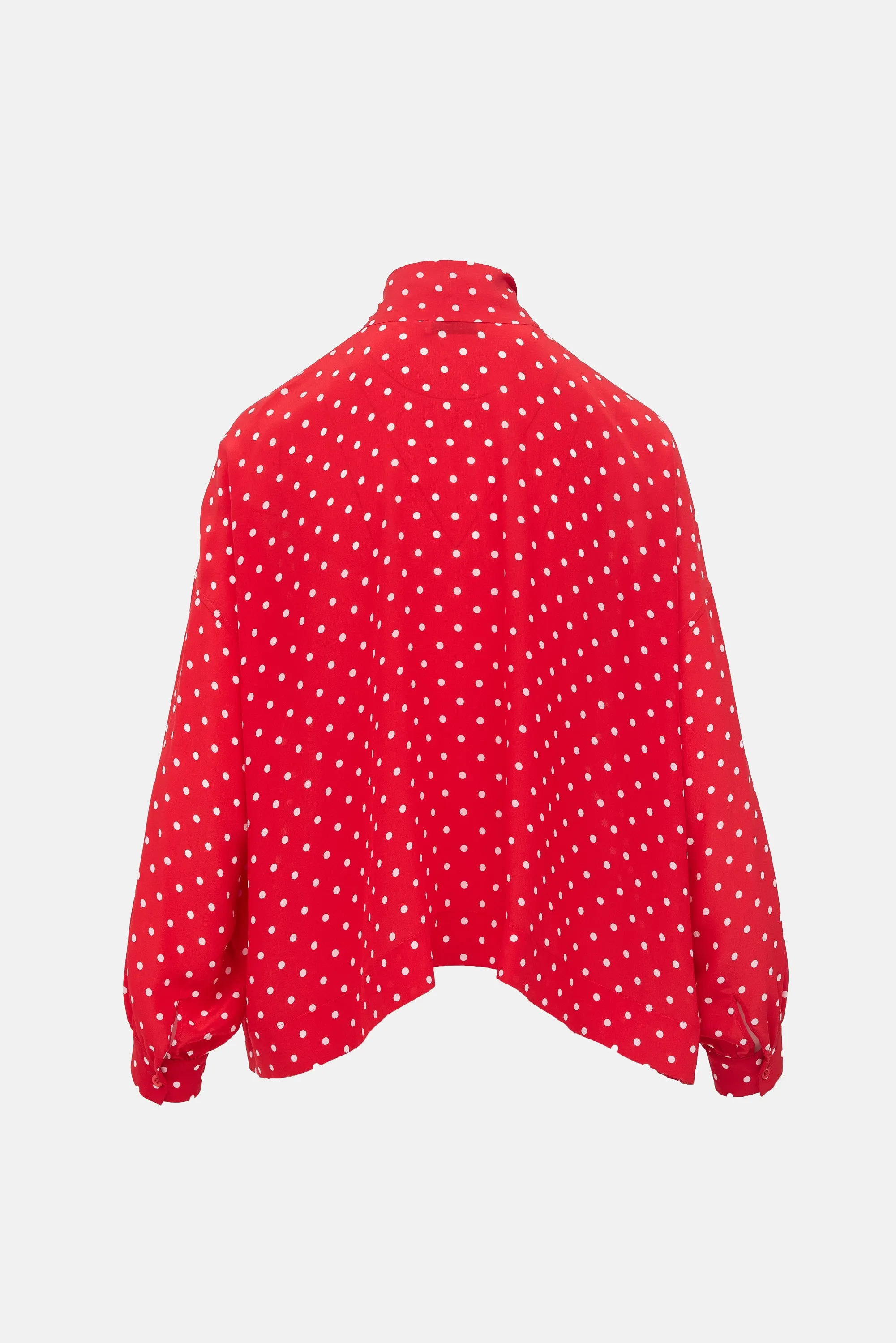 FW 2019 Oversized Silk Blouse sold by VSP Consignment product image thumbnail 2