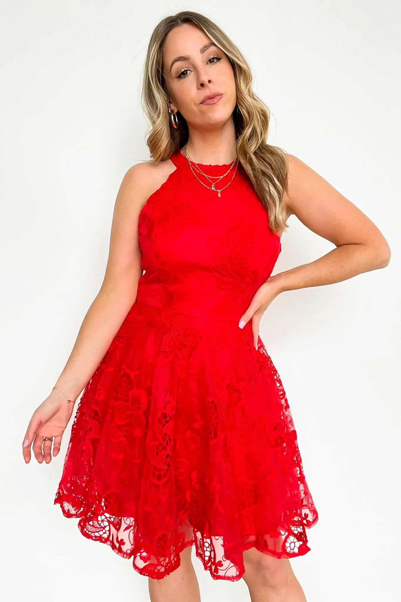 Darling Dancer Fit and Flare Lace Dress - FINAL SALE sold by Madison + Mallory product image thumbnail 2