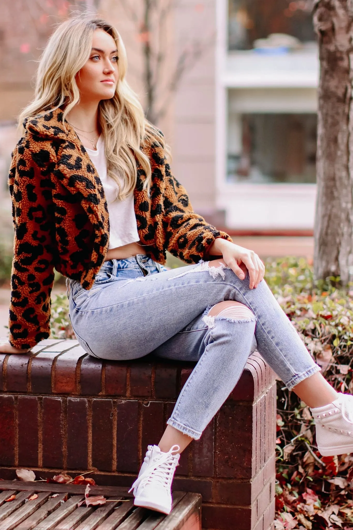 Zandra Animal Print Button Down Jacket - FINAL SALE sold by Madison + Mallory