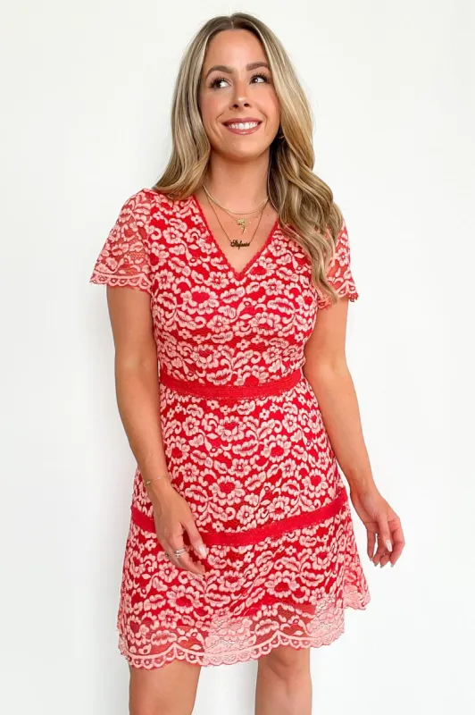 Fashionable Flair Short Sleeve V-Neck Lace Dress - FINAL SALE sold by Madison + Mallory