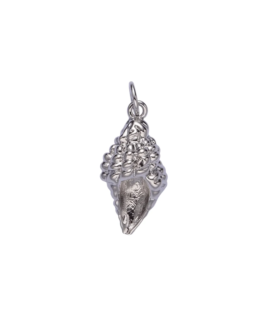 Clam Sea Shell Charm sold by Oceanne product image thumbnail 3
