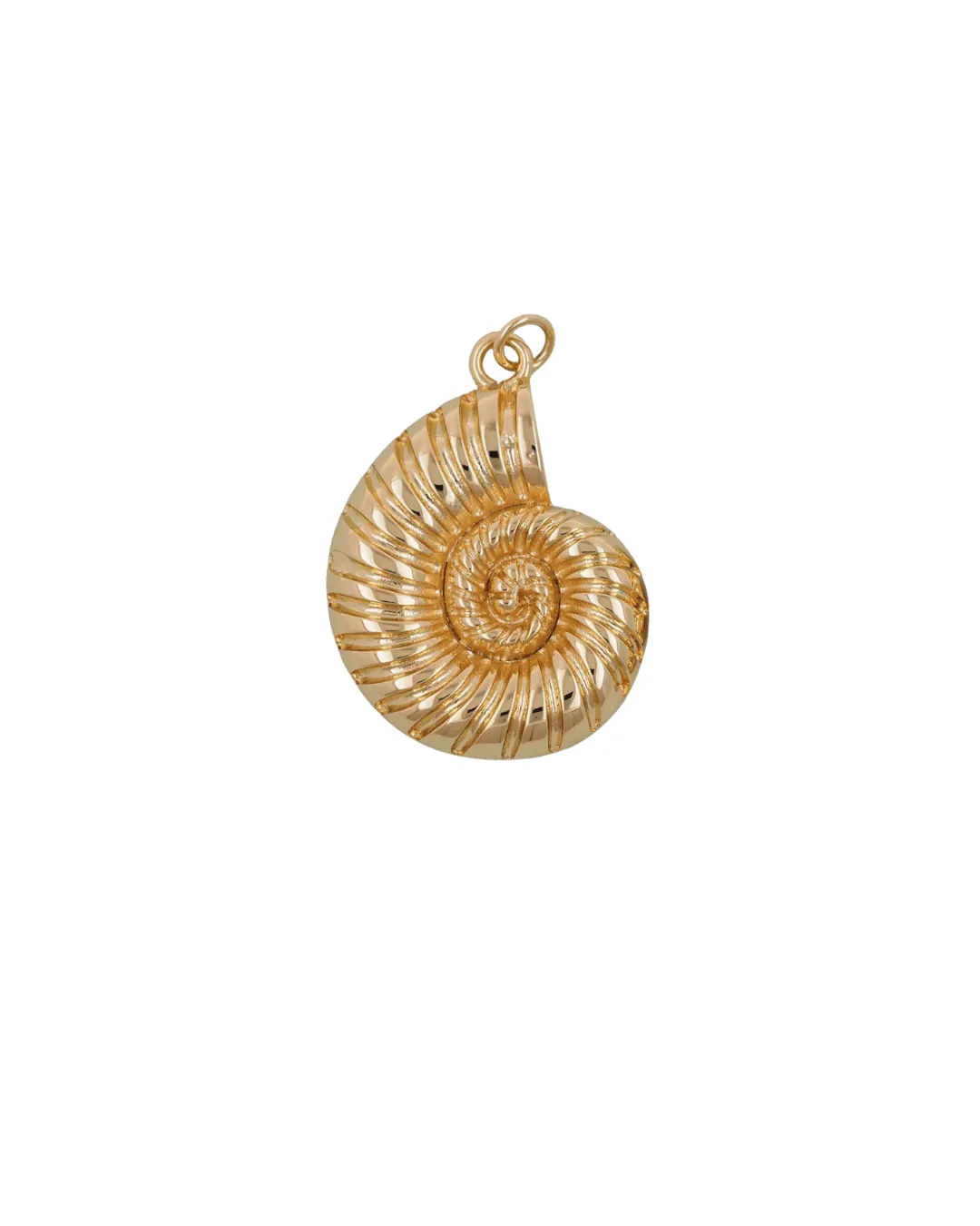 Large Conch Shell sold by Oceanne