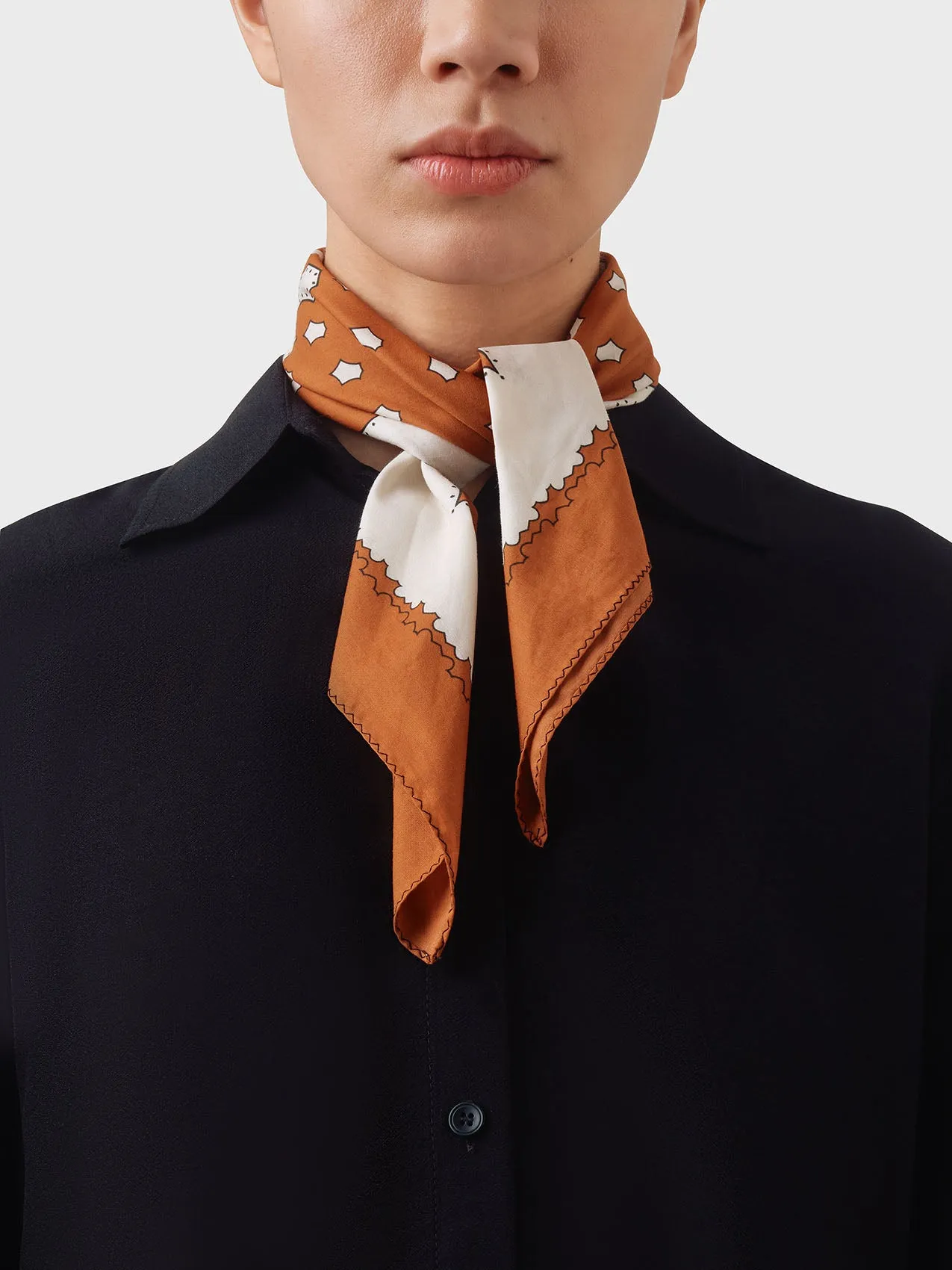 Dakota Printed Cotton Scarf sold by Aeyde product image thumbnail 4