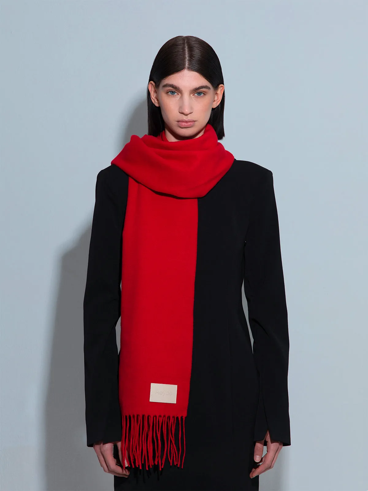 Bela Cashmere Scarf sold by Aeyde product image thumbnail 4