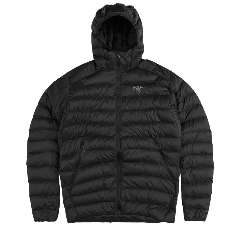 Arcteryx Cerium Hoody sold by Asphalt Gold