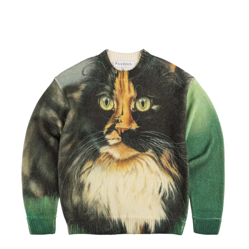 JW Anderson Cat Print Printed Jumper sold by Asphalt Gold