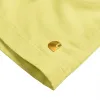 Carhartt WIP Chase Swim Trunks sold by Asphalt Gold