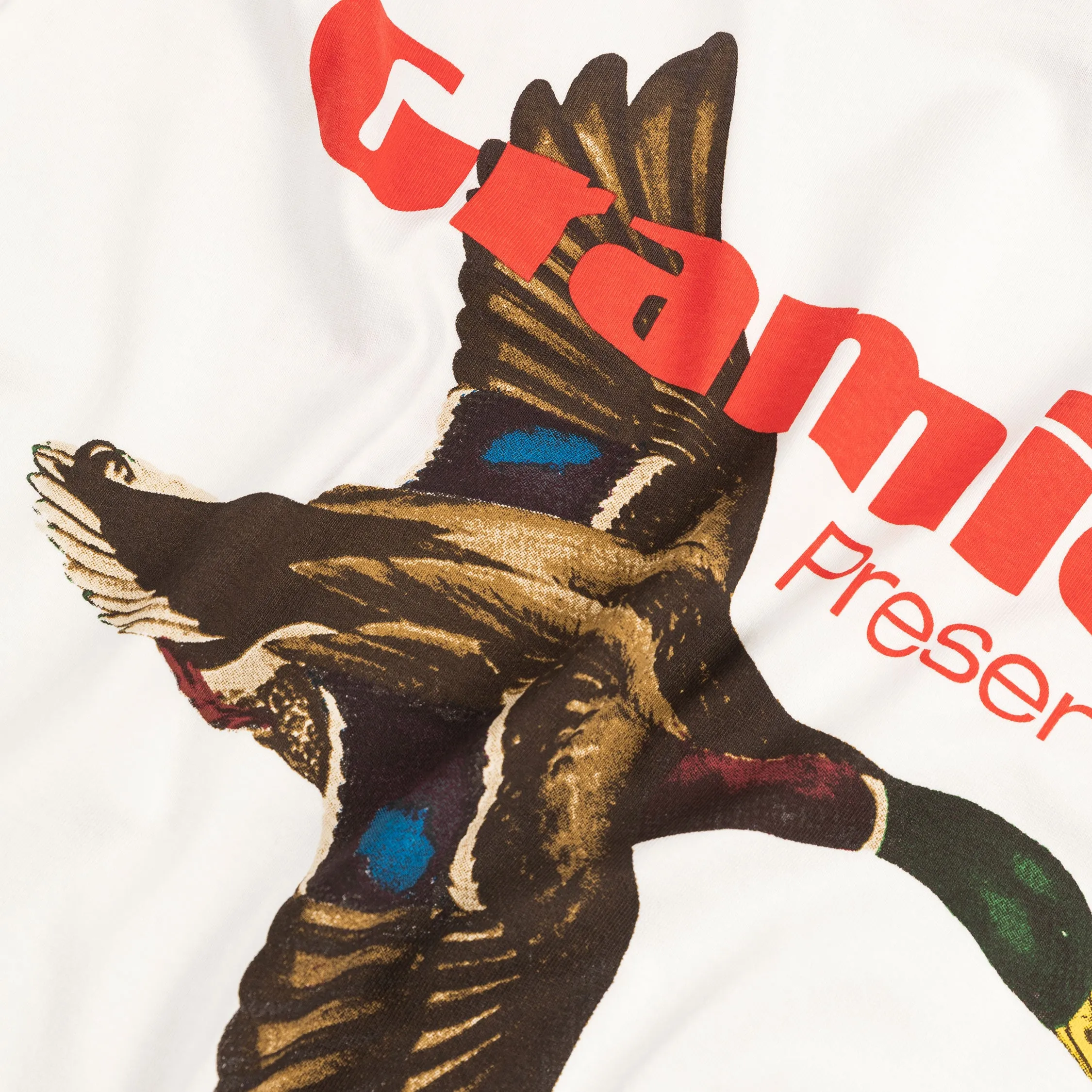 Gramicci Preserve It Tee sold by Asphalt Gold product image thumbnail 5