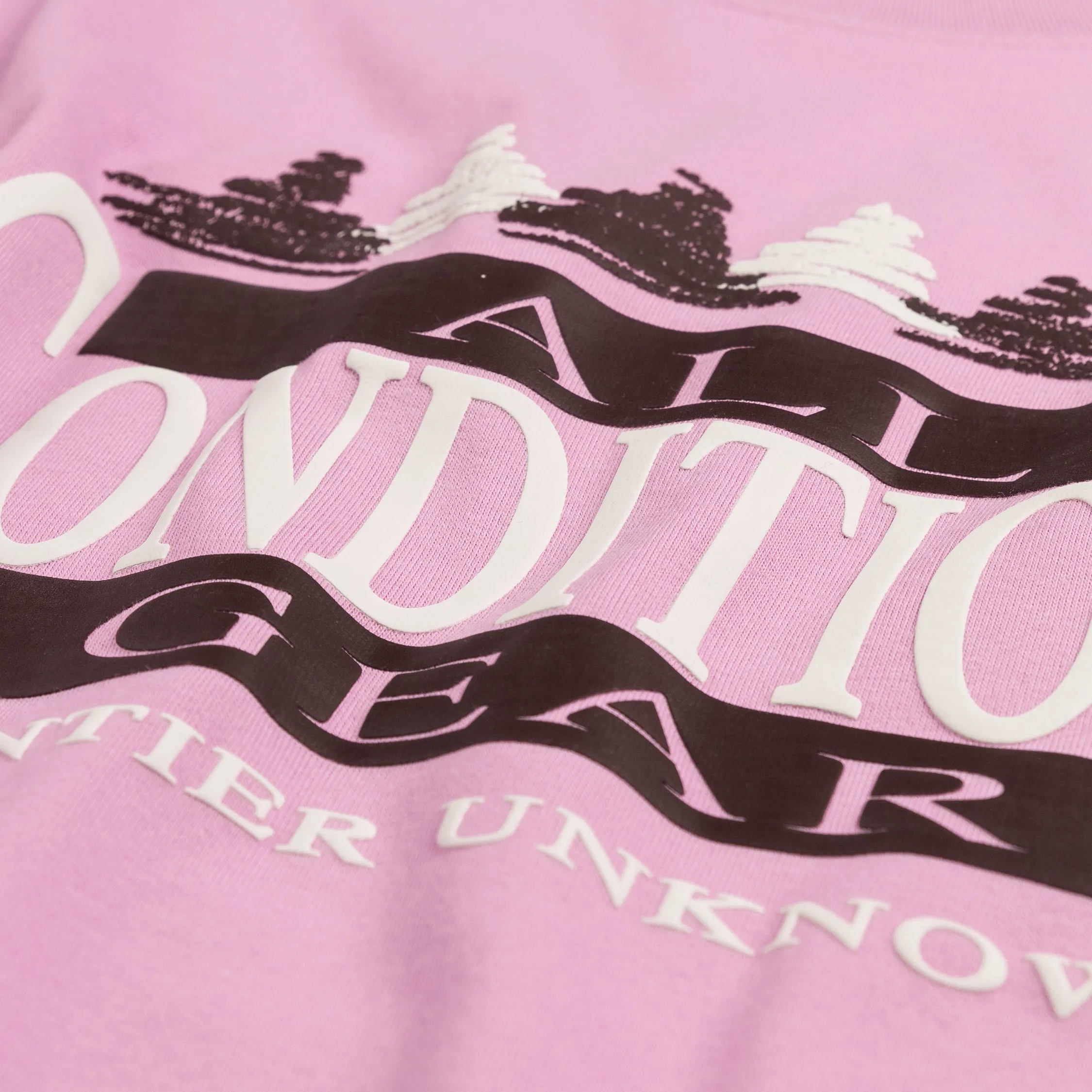 Nike ACG OC Frontier Tee sold by Asphalt Gold product image thumbnail 3