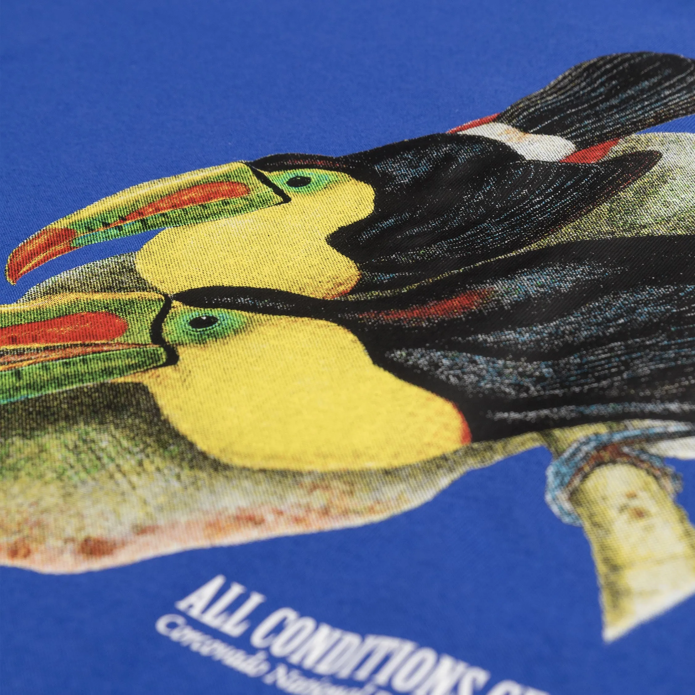 Nike ACG Dri-Fit Toucan T-Shirt sold by Asphalt Gold product image thumbnail 3