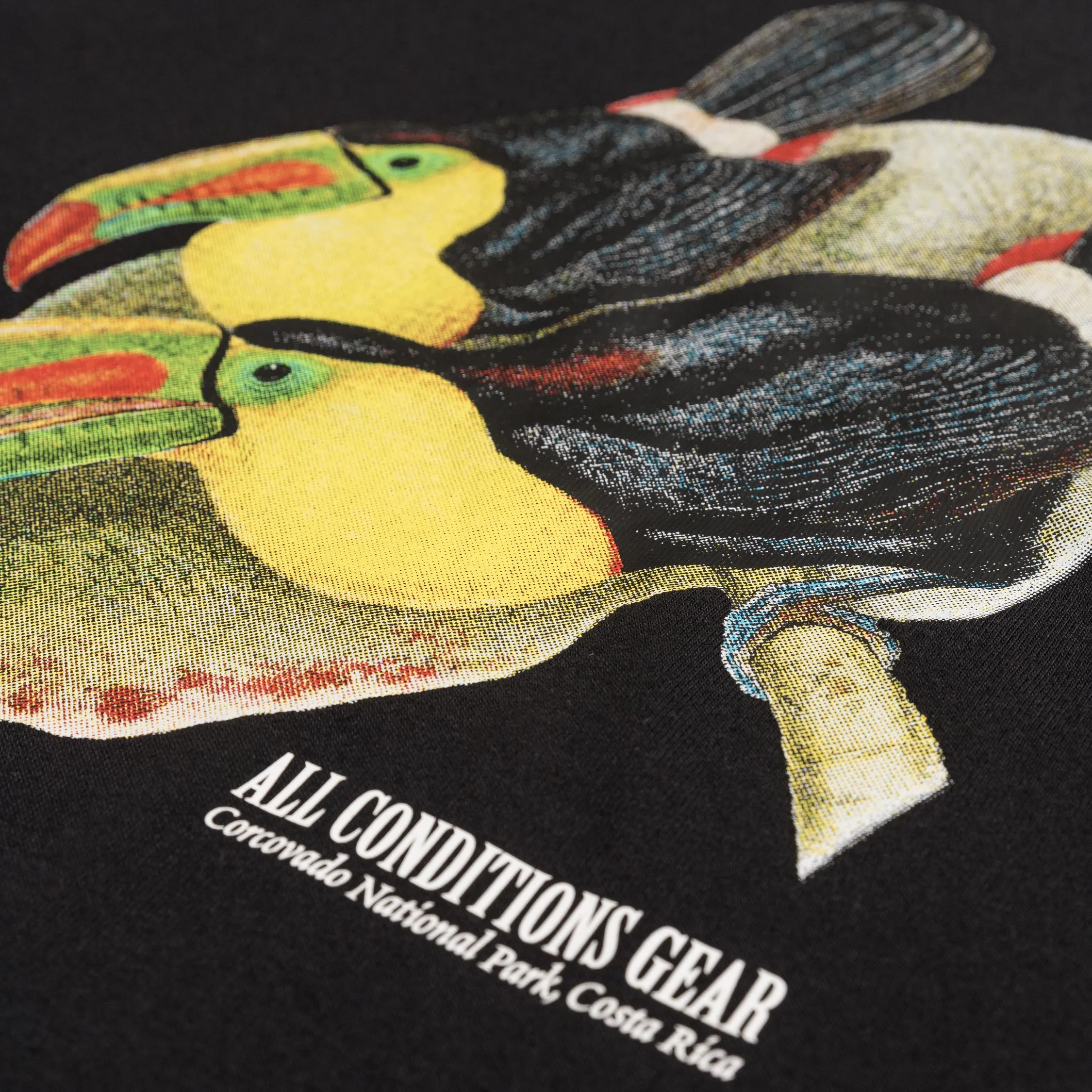 Nike ACG Dri-Fit Toucan T-Shirt sold by Asphalt Gold product image thumbnail 3