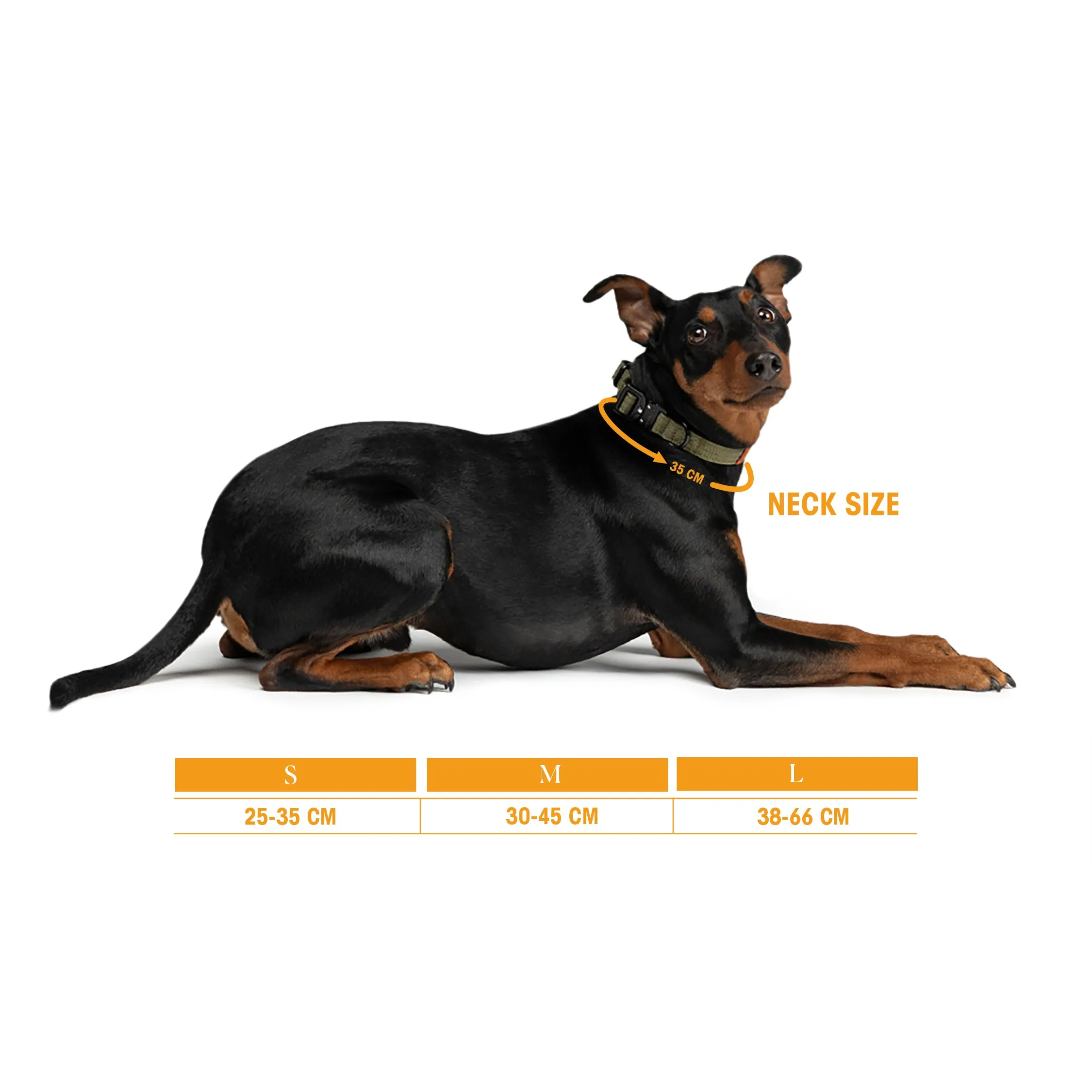 Trekk Dog Collar sold by Asphalt Gold product image thumbnail 2