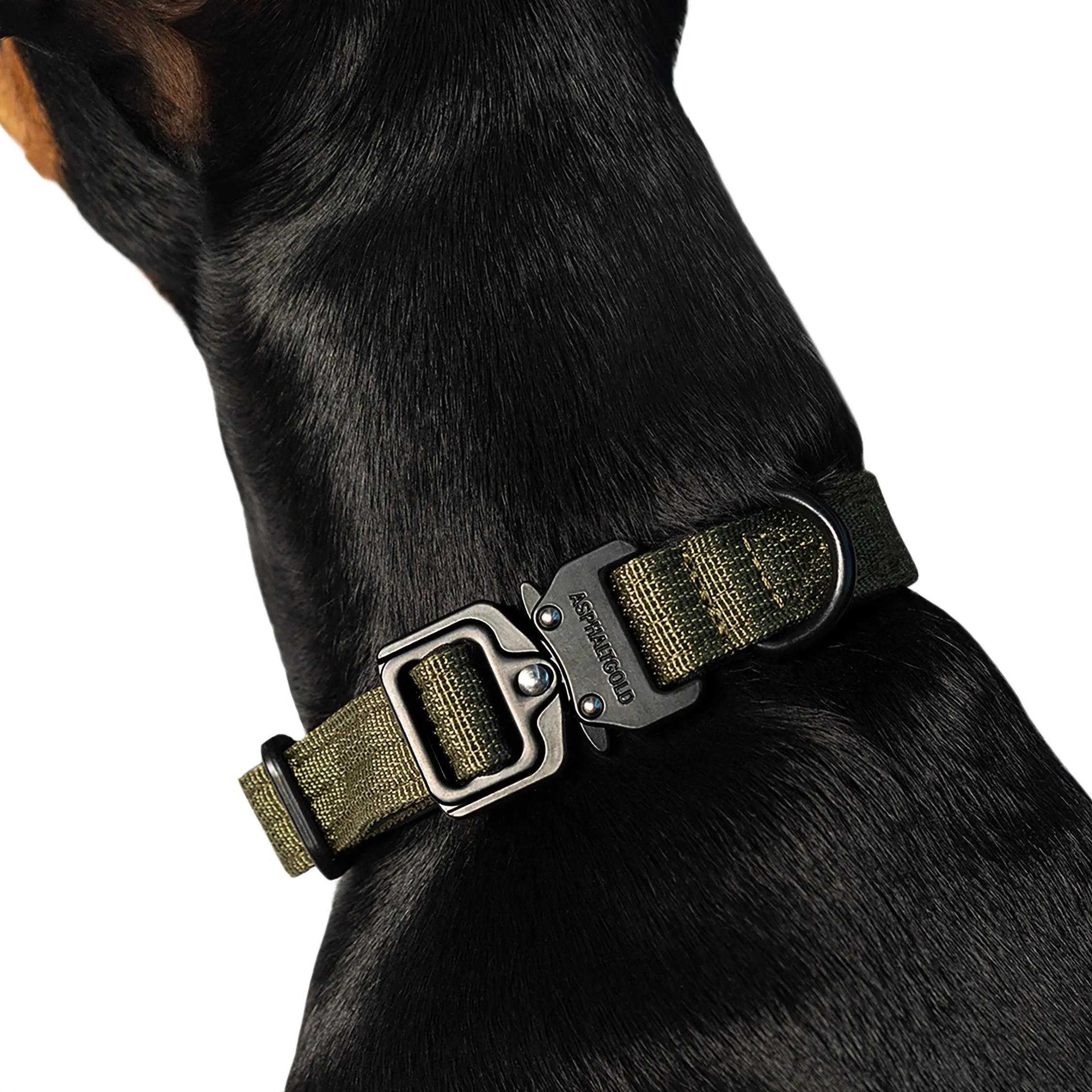 Trekk Dog Collar sold by Asphalt Gold product image thumbnail 3