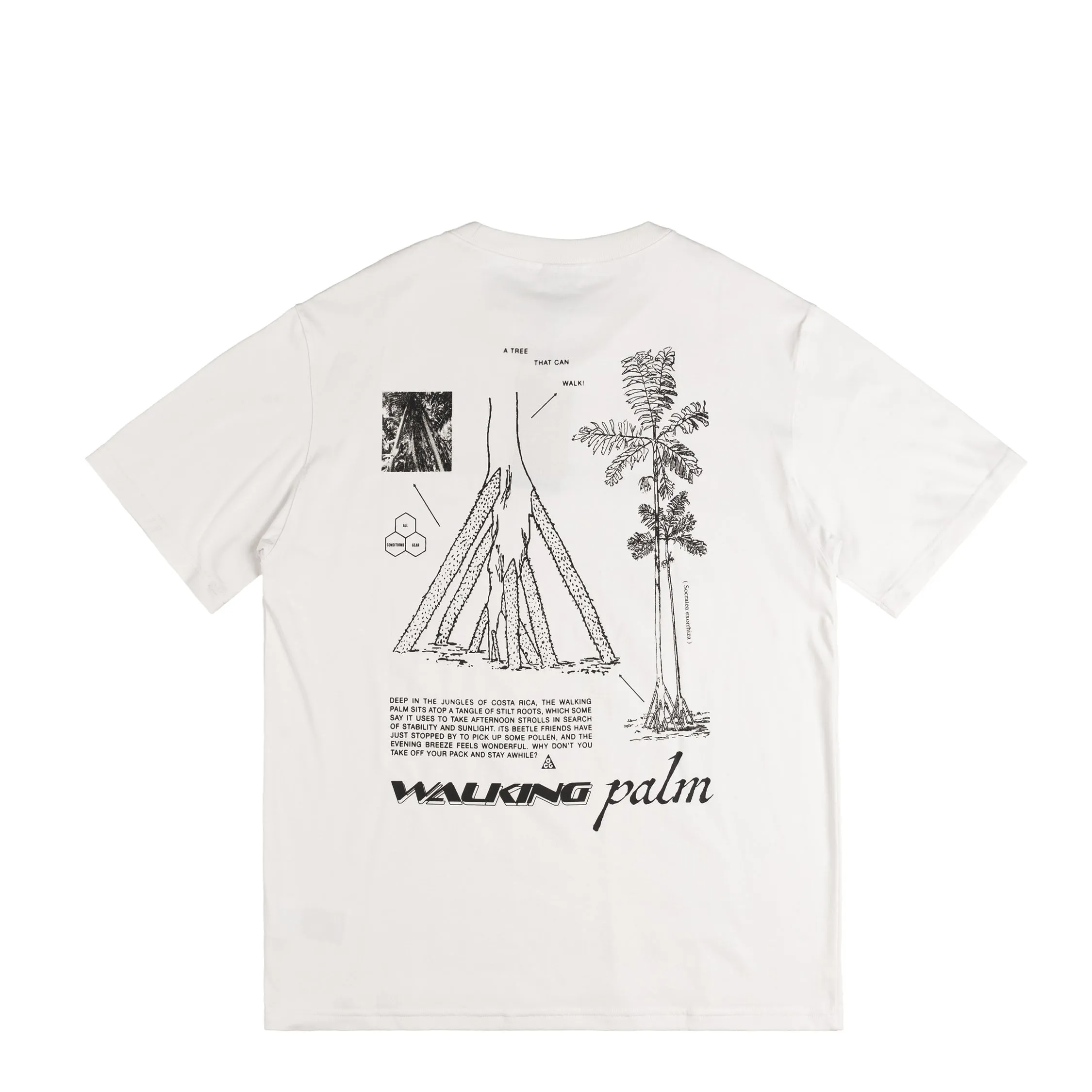Nike ACG *Walking Tree* Dri-FIT T-Shirt sold by Asphalt Gold product image thumbnail 2