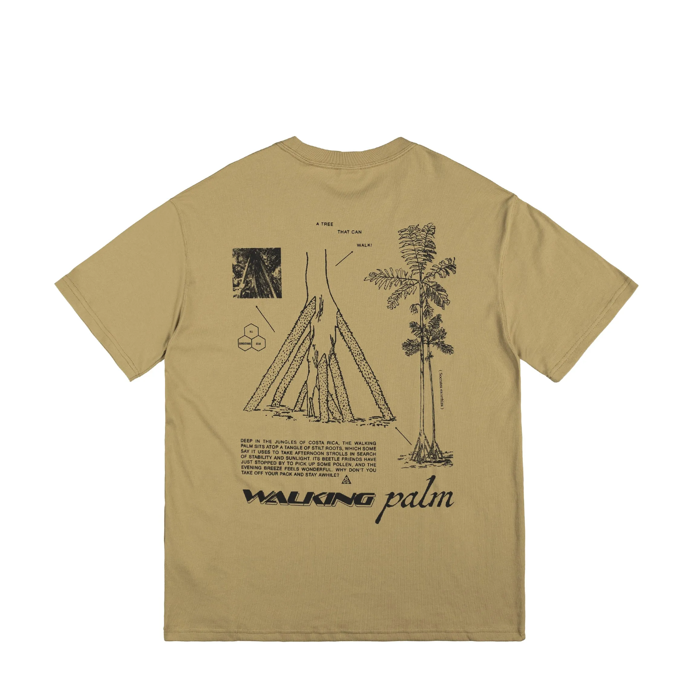 Nike ACG *Walking Tree* Dri-FIT T-Shirt sold by Asphalt Gold product image thumbnail 2