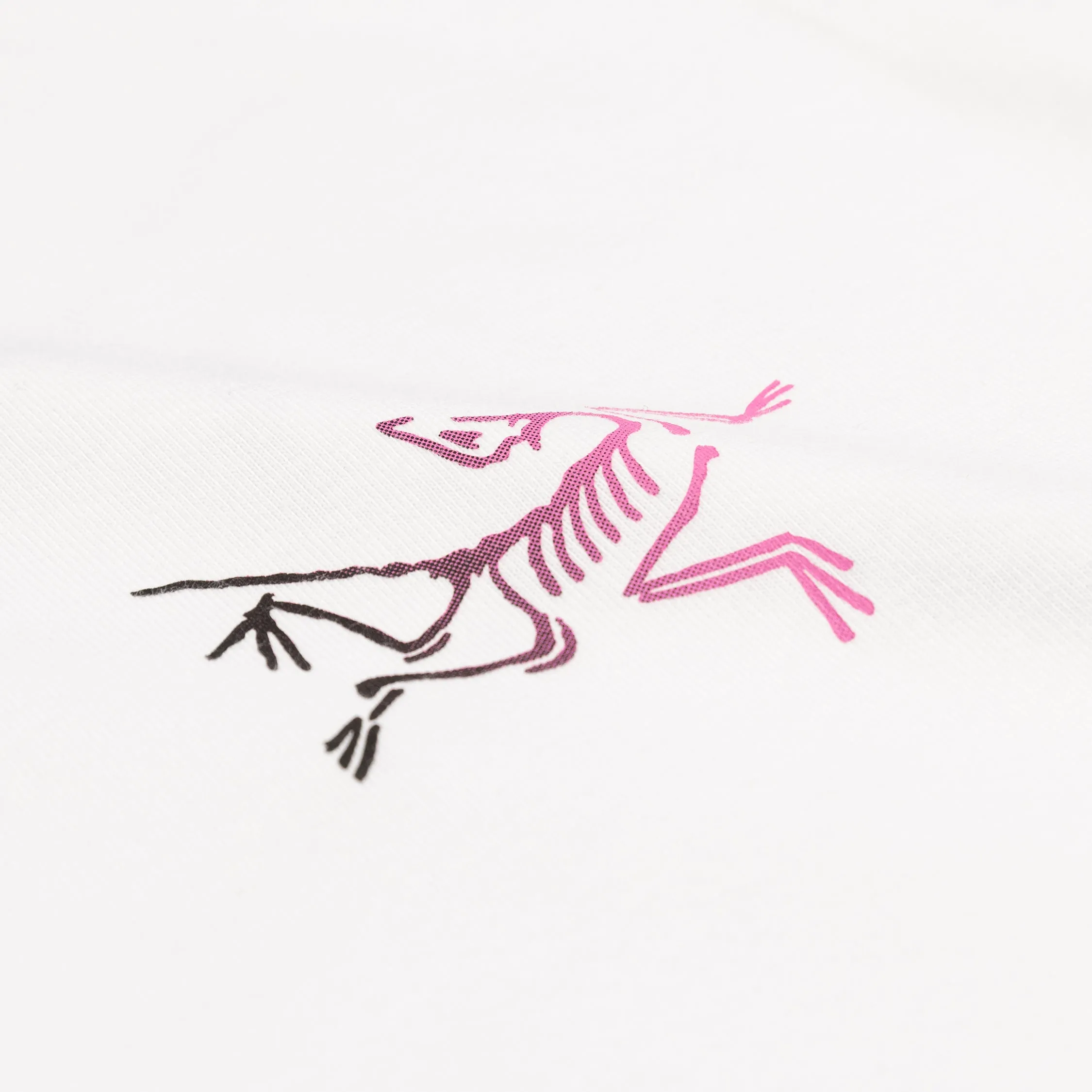 Arc'teryx Kragg Cotton Logo T-Shirt sold by Asphalt Gold product image thumbnail 4