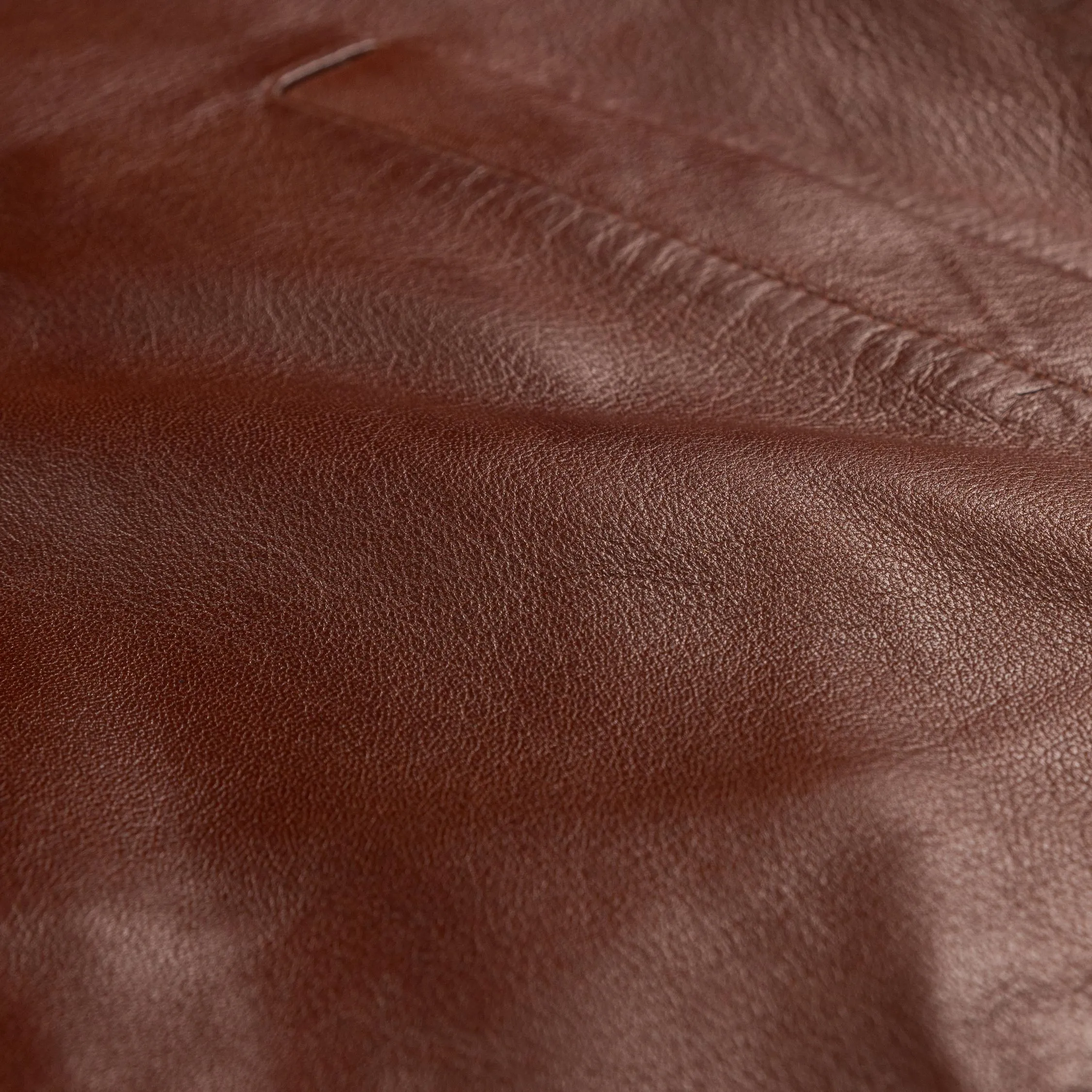 Sunflower Short Leather Jacket sold by Asphalt Gold product image thumbnail 5