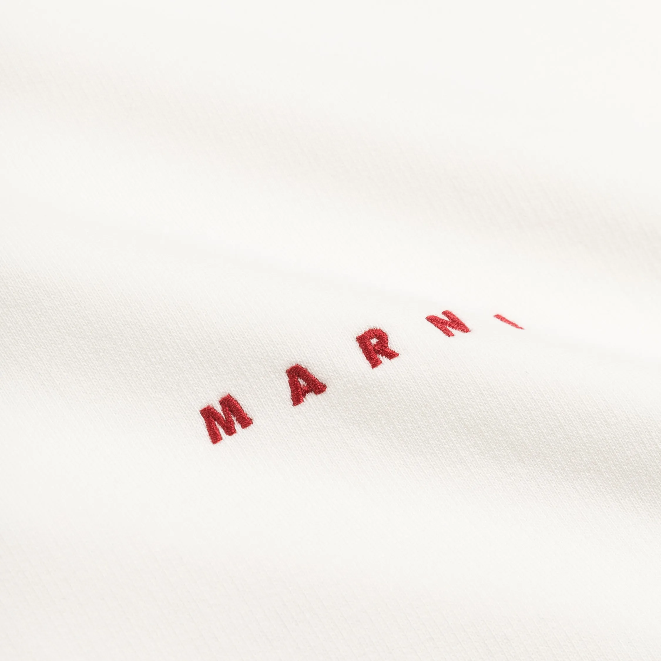 Marni Wrinkled Logo Hoodie sold by Asphalt Gold product image thumbnail 4
