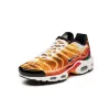 Nike Air Max Plus OG sold by Asphalt Gold