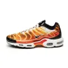 Nike Air Max Plus OG sold by Asphalt Gold