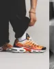 Nike Air Max Plus OG sold by Asphalt Gold