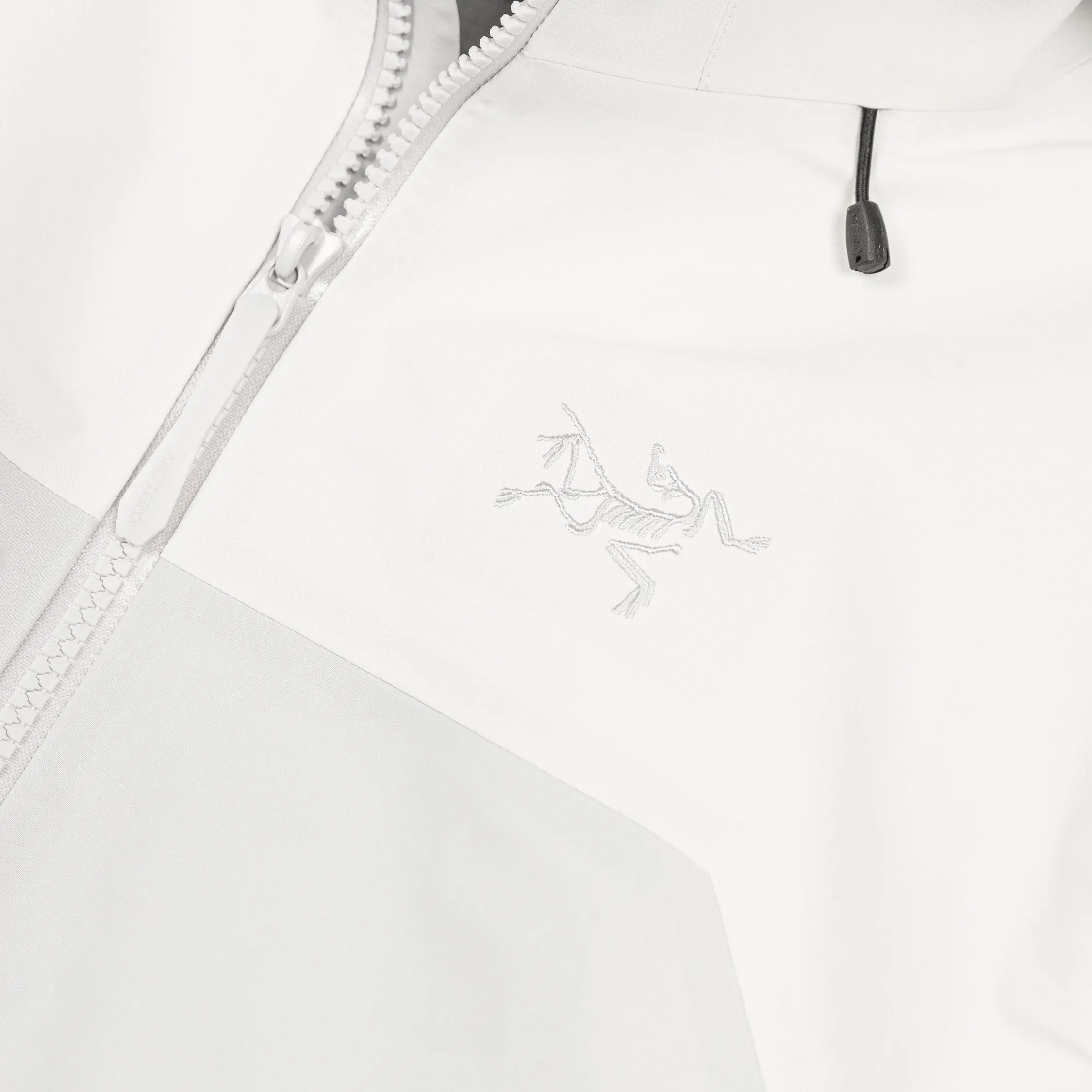 Arcteryx Wmns Beta AR Jacket sold by Asphalt Gold product image thumbnail 5