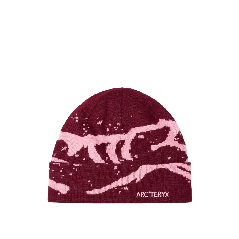 Arcteryx Grotto Toque sold by Asphalt Gold